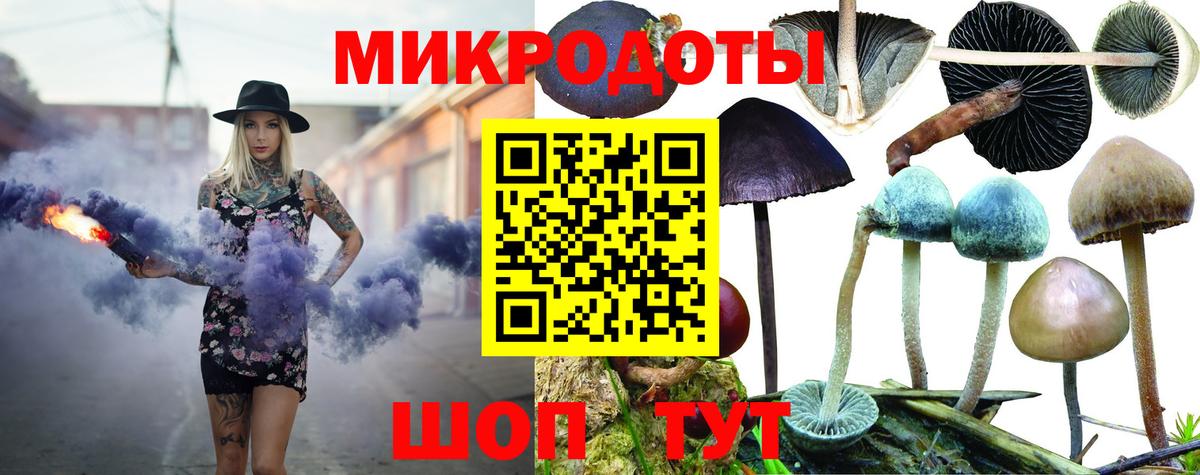 Псилоцибиновые грибы MAGIC MUSHROOMS  Псилоцибиновые грибы мухоморы  Вход с VPN  Нефтекумск 